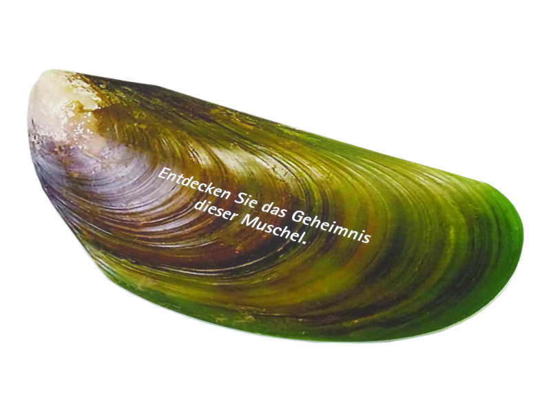 a2dae352abdaac46a7d3ecaf7973143c